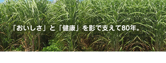 「おいしさ」と「健康」を影で支えて80年。